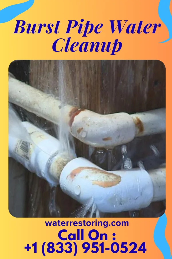 Burst Pipe Water Cleanup in Newport, RI