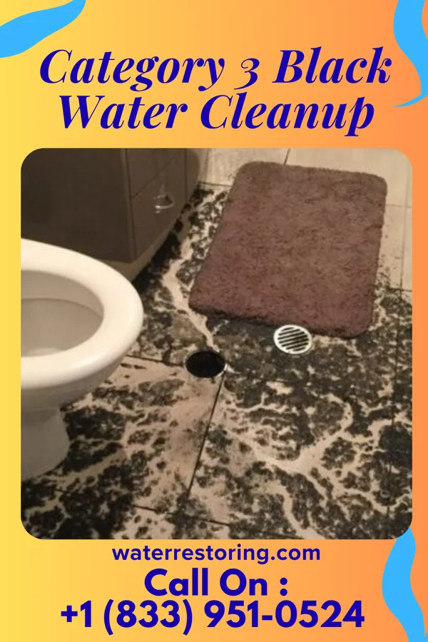 Category 3 Black Water Cleanup in Newport, RI
