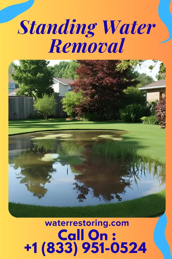 Standing Water Removal in Newport, RI